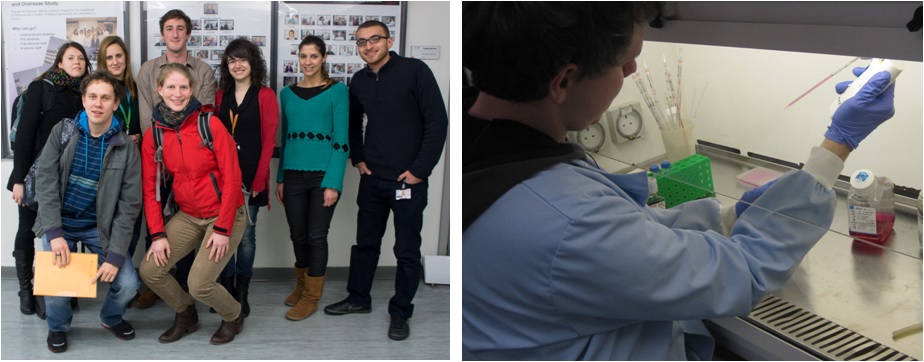 Hands-on-school Pharmacological KCL 2013 Picture