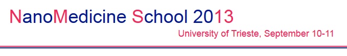 NanoMedicine School 2013 Logo